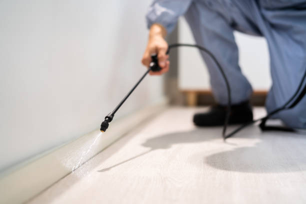 Bed Bug Pre-Treatment Preparation Assessment in Jal