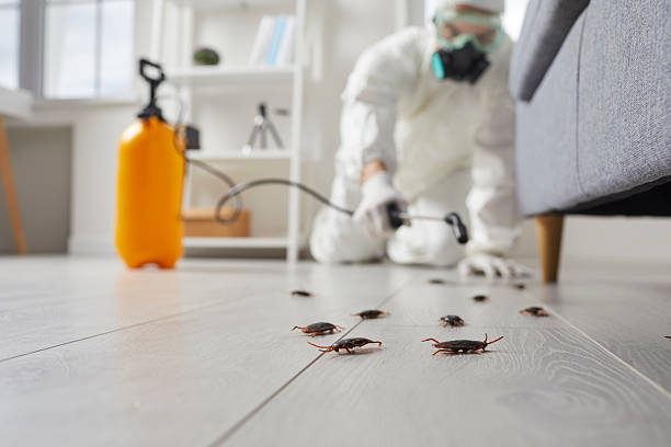 Post-Treatment Bed Bug Interceptor Monitoring in Jal