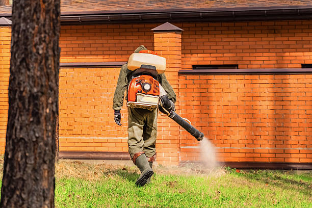 Bed Bug Clearance Verification and Documentation in Jal